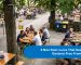 3 Non-Toxic Lures That Keep Beer Gardens Free From Stings