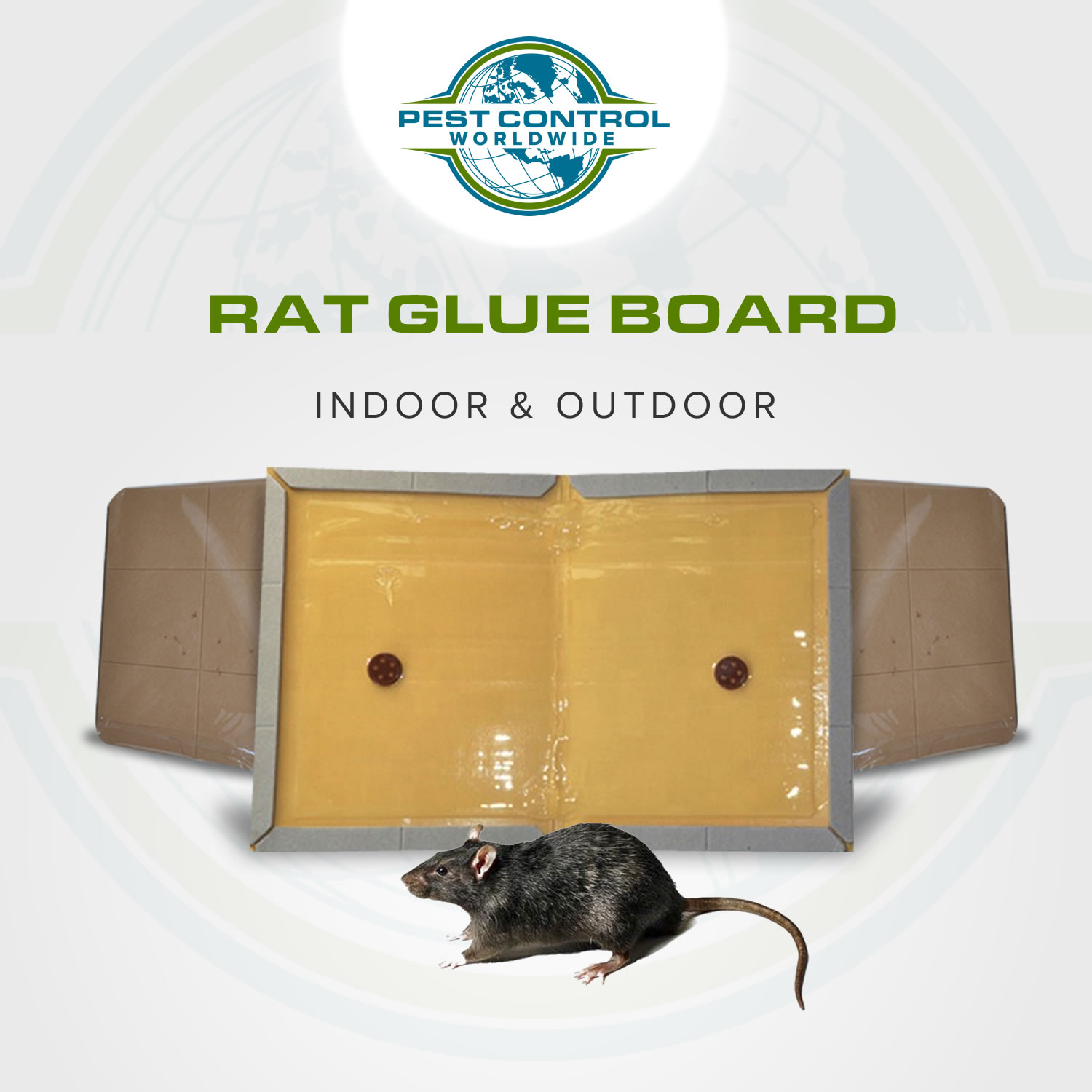 Rat Glue Trap Board - Sticky Mouse Glue Trap - Pest Control Worldwide - A  Leading Online Retailer for Pest Control Products