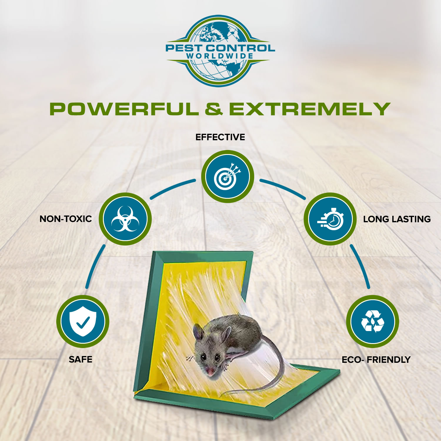 Buy Strong Non-toxic Mice Catcher Mouse Board Sticky Rat Glue Trap