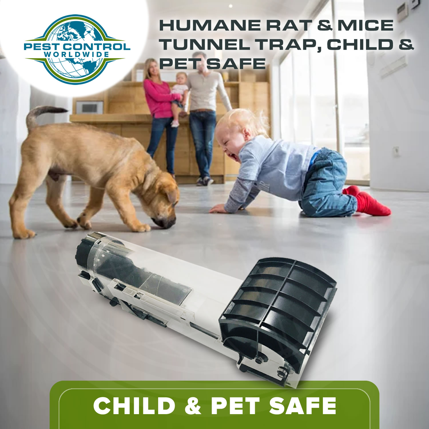 Humane Mouse Trap, No Kill Trap, Pet & Child Safe Rodent Trap