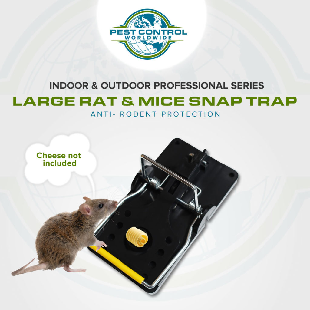 https://pestcontrolworldwide.com/wp-content/webpc-passthru.php?src=https://pestcontrolworldwide.com/wp-content/uploads/2021/05/large-rat-_-mice-snap-trap_1_10-jun-2021-1024x1024.jpg&nocache=1