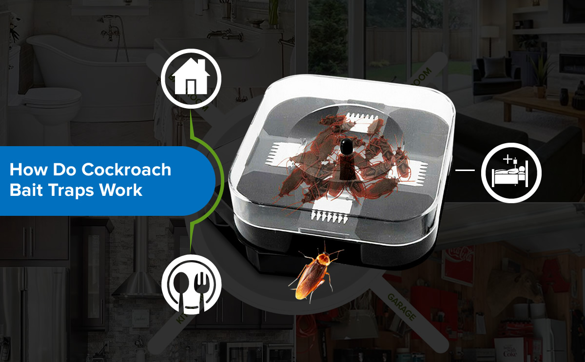 How do cockroach bait traps work?