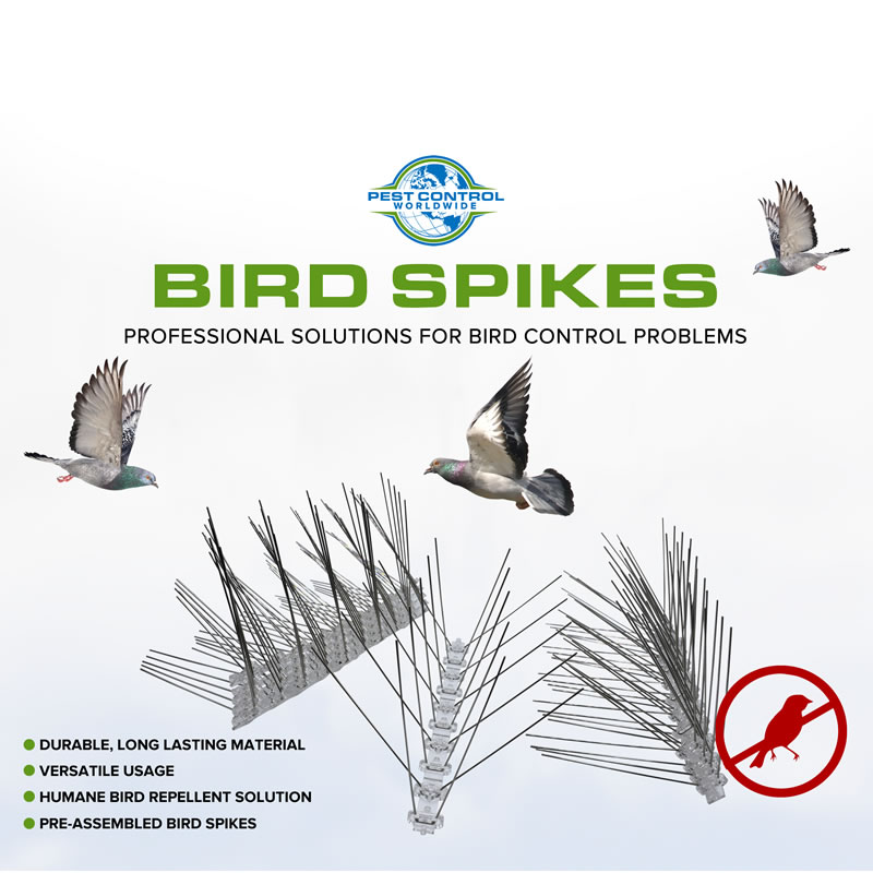 Keep Pigeons Small Birds Away Bird Spikes Pest Control No - Temu