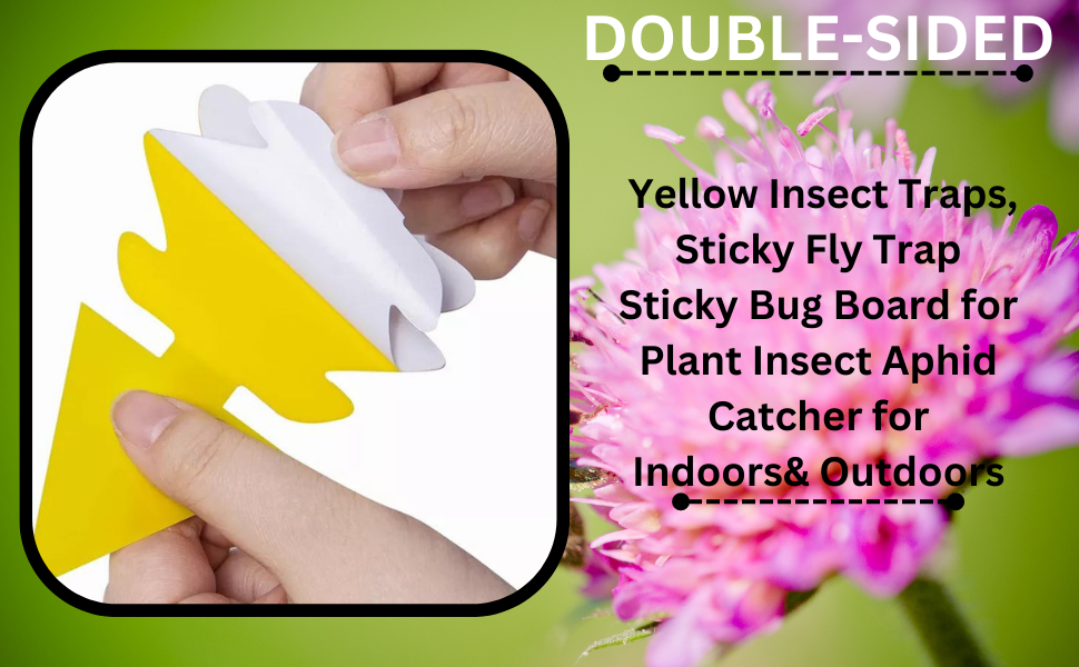 LIGHTSMAX Sticky Bug, Gnat, and Fruit Fly Trap: Yellow Dual Sided Glue  Insect Catcher to Control Bugs Indoor and Outdoor - Traps Fruit Flies,  Aphids and Flying Pests in Potted Plants (25) 