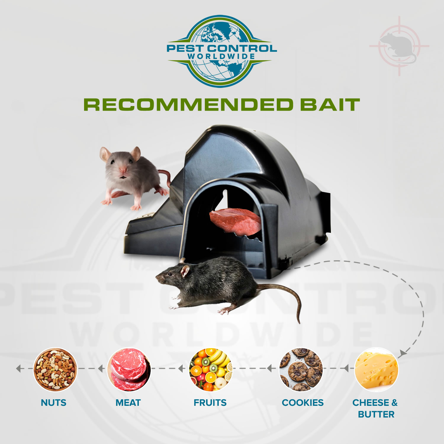 Child Safe & Pet Safe Rat Tunnel Snap Trap - Pest Control