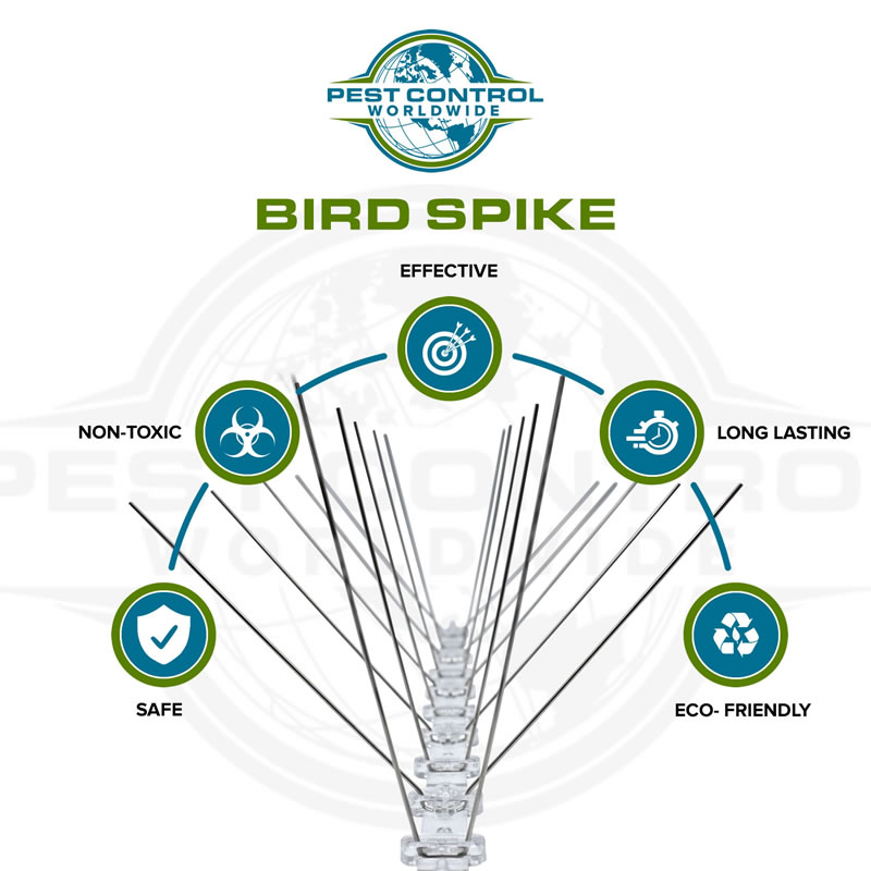 Bird Spike-4_A