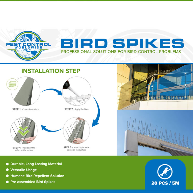 Bird spikes for roof