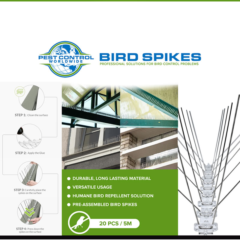 Bird Spike-4_G