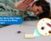 What are sticky bug traps_ How effective are sticky bug traps banner